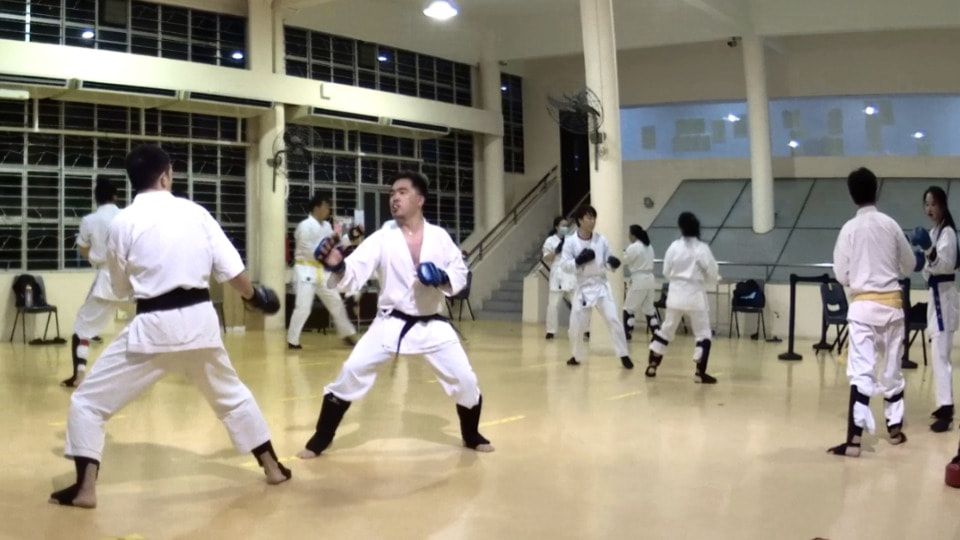 Karate Lesson Singapore